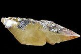 Golden, Twinned Calcite Crystals With Sphalerite - Elmwood Mine #71920-3